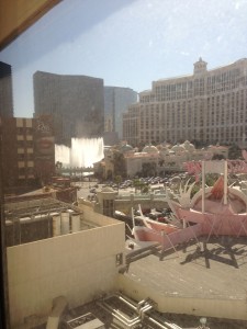 Flamingo View 2